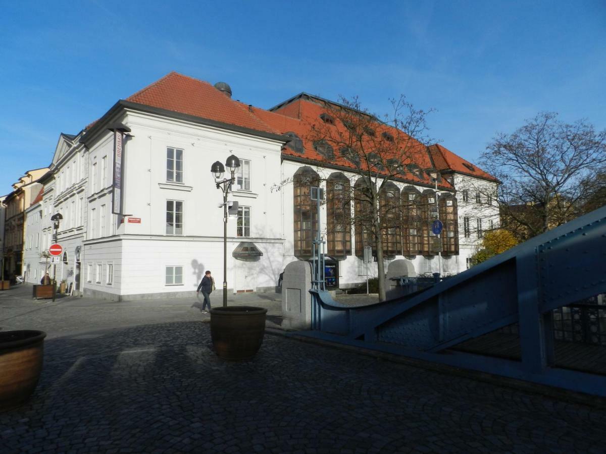 Romanticky Apartman U Veze Zelezna Panna Budweis Exterior foto